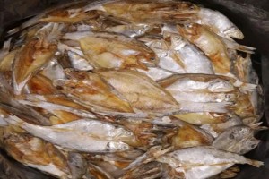 Dreid salted fish Kewer Bilis from Indonesia