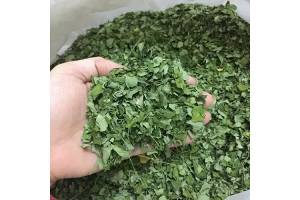 Dried Moringa Leaf from Indonesia