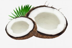 Coconut from Indonesia