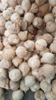 Coconut Semi Husked / Dehusked from Indonesia