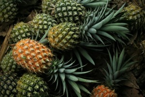 Pineapple from Indonesia