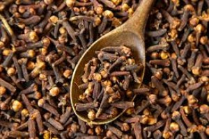 Dried Cloves from Indonesia
