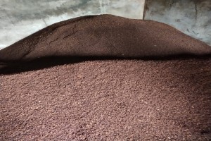 Cloves from Indonesia