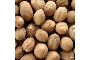 Nutmeg from Indonesia