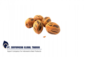 Nutmeg PVC Box from Indonesia