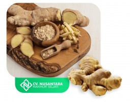 FRESH GINGER from Indonesia
