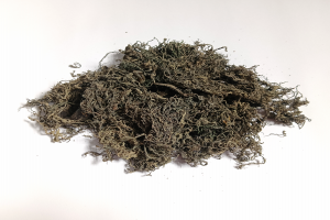 Dried Gracilaria Seaweed from Indonesia