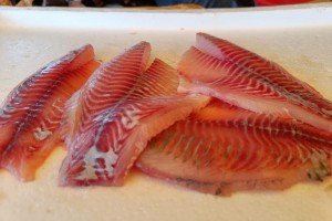 Tilapia Fish fillets and basa fish fillets from India