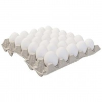 Chicken white eggs from India