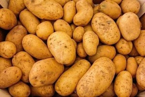 Potato from India