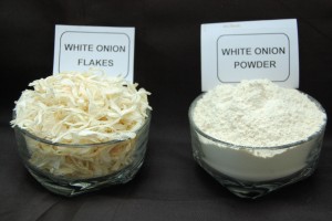 Onion Powder from India
