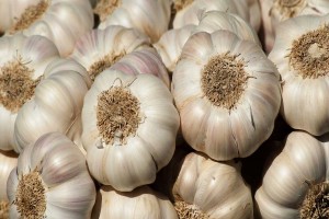 Garlic from India