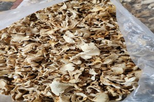 Dried Oyester mushroom from India