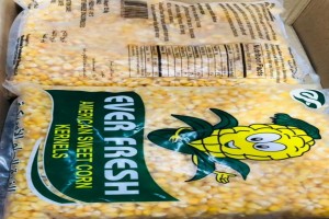 Sweet Corn from India