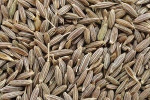 Cumin Seeds from India