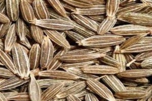 Cumin from India