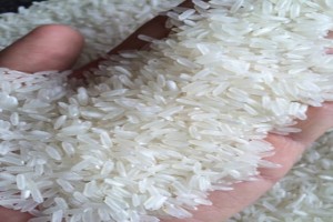 Rice from India