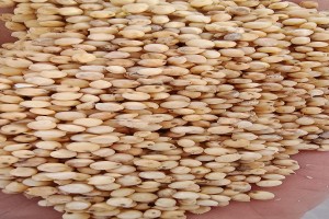 sorghum from India