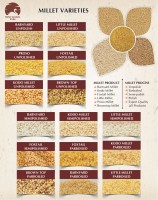 Millet from India