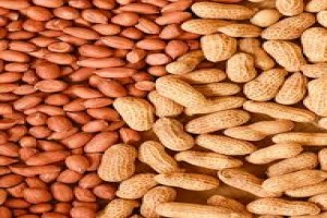 Murali farms from India