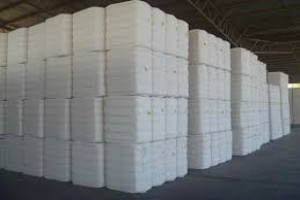 Cotton from India