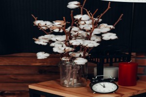 Raw cotton with seed from India