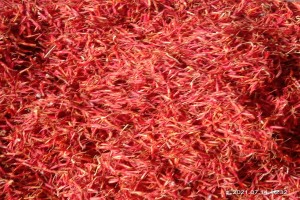 Safflower Patels from India