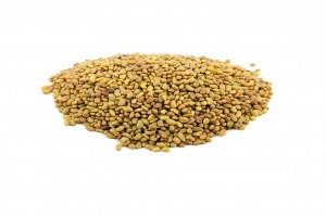ALFALFA SEEDS FOR SOWING from India
