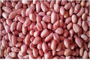 Peanuts from India