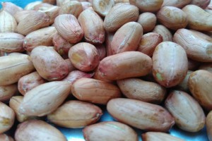 Peanut kernels from India