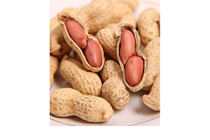 PEANUTS FROM INDIA from India