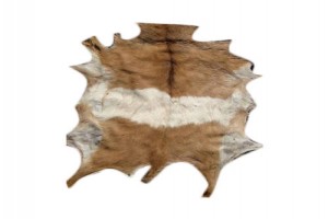 Goat Leather Indian Goat from India