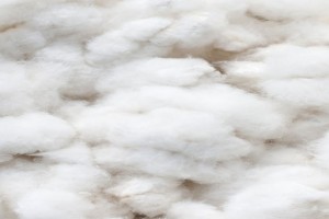 RAW COTTON from India