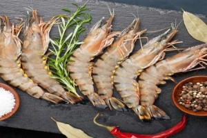 Shrimp from Iran