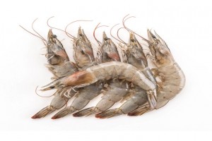 Shrimp from Iran