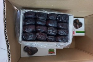 Dates Mazafati from Iran