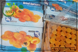 Dried Apricot from Iran