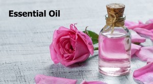 Damask Rose Essential Oil from Iran