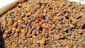 Gum arabic ,opoponax, myrrh from Kenya