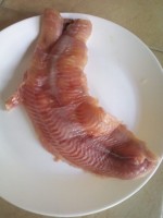 Fresh whole Catfish from Kenya
