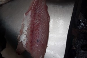 Fish fillets from Kenya