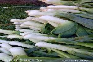 Leeks from Kenya