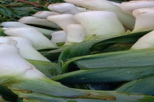 Leeks from Kenya