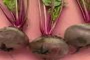 Beetroot from Kenya