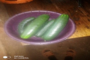 Cucumber from Kenya