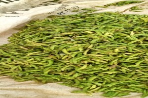 Peas(baazi) from Kenya