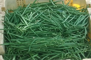 French beans from Kenya