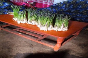 Green Asparagus from Kenya