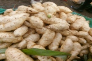 Sweet potatoes from Kenya
