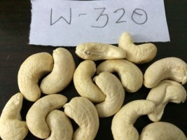 Dried Cashew nuts W320 from Kenya